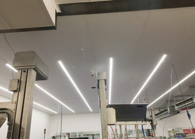 Hygienic Lighting in slaughterhouse